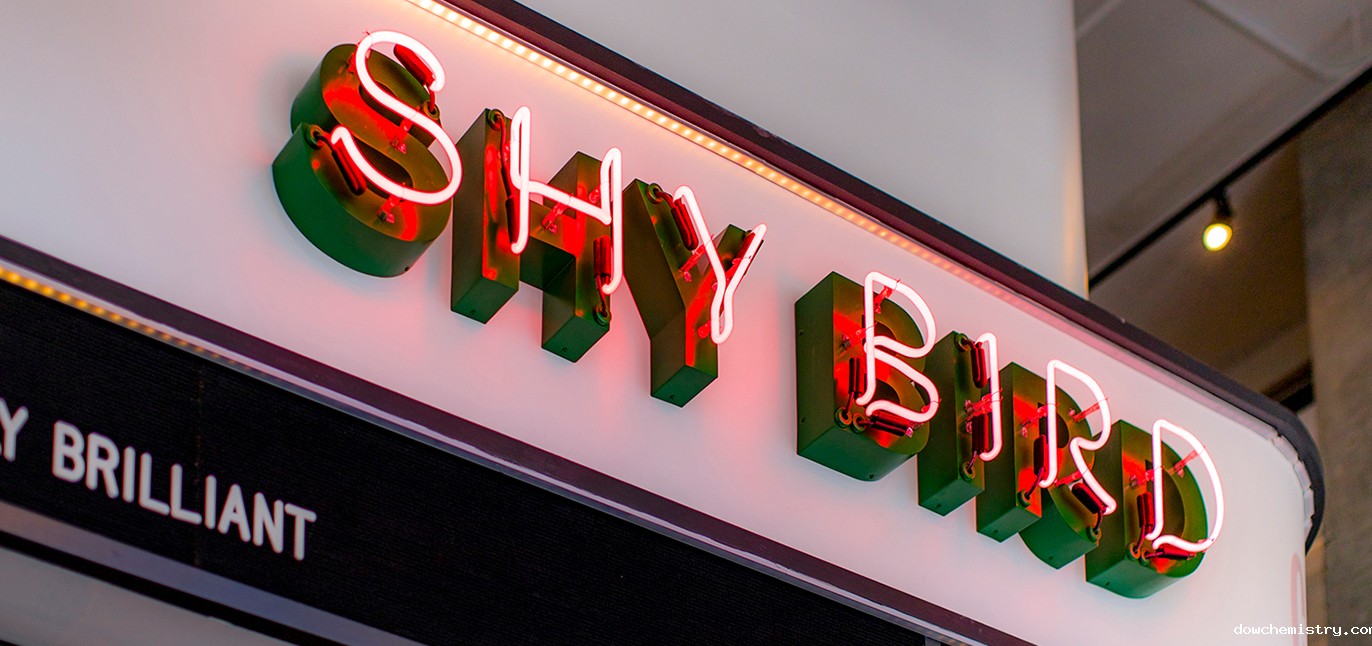 餐饮行业害羞鸟品牌标志设计